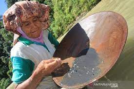 Emas yang ada di sungai kampung Jambak